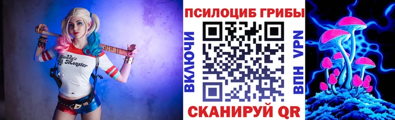 где найти наркотики  Пыть-Ях  Псилоцибиновые грибы Cubensis 